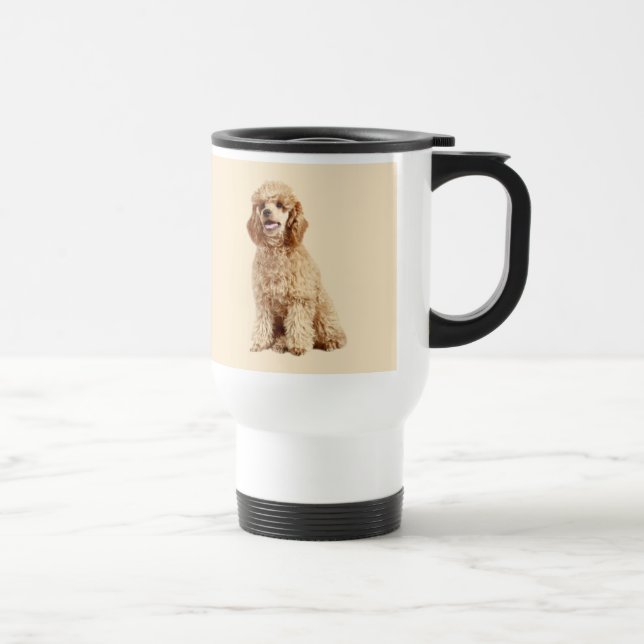 Les caniches veulent juste avoir la tasse de (Droite)