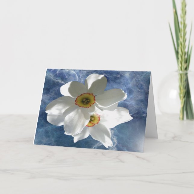 Les Cartes de crédit de la Lumière Blanche (Devant)