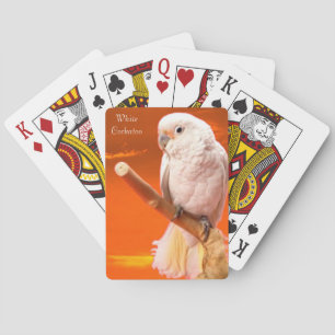 Les cartes de jeu de la faune