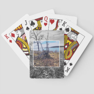 Les Cartes De Jeu De L'Arbre Tombé