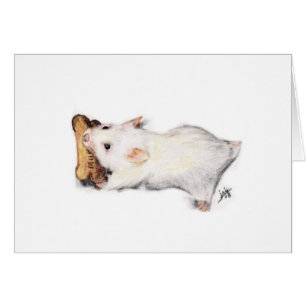 Les Cartes Du Voleur D'Os (Hamster)
