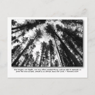 Les cartes postales de l'amour de Dieu