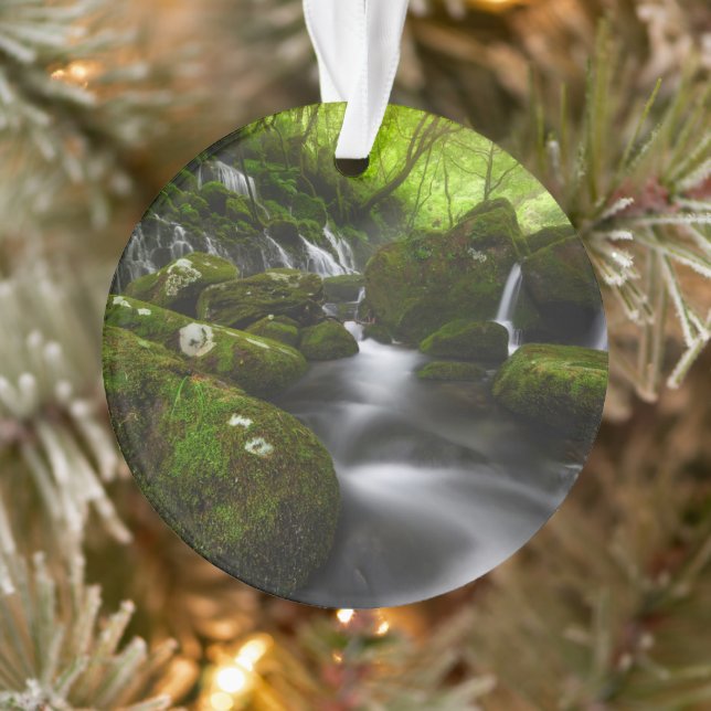 Les cascades | Cascades de Satoyama Kisakata (Arbre)