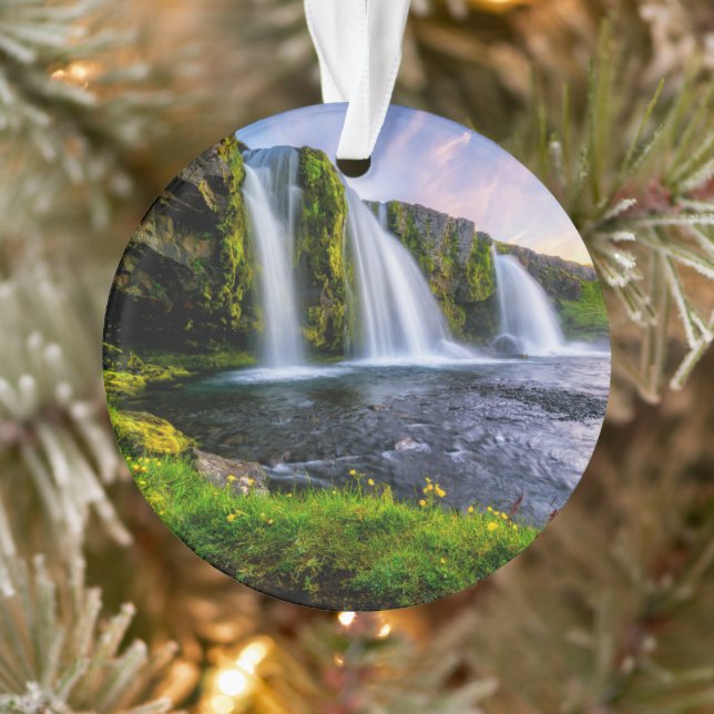 Les cascades | Kirkjufellsfoss, Islande (Arbre)