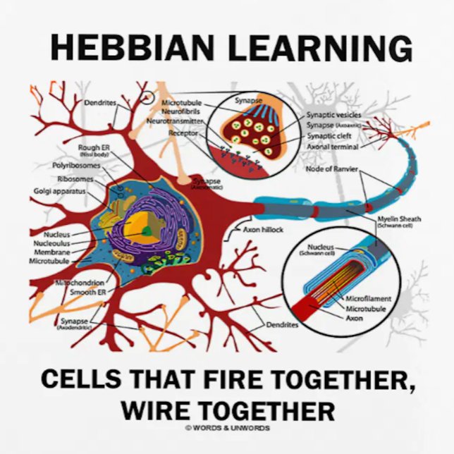Les Cellules D'Apprentissage Hebdomadaires Font Fe (Showcase your neuropsychological Hebbian learner side with this planner featuring a neuron/synapse)