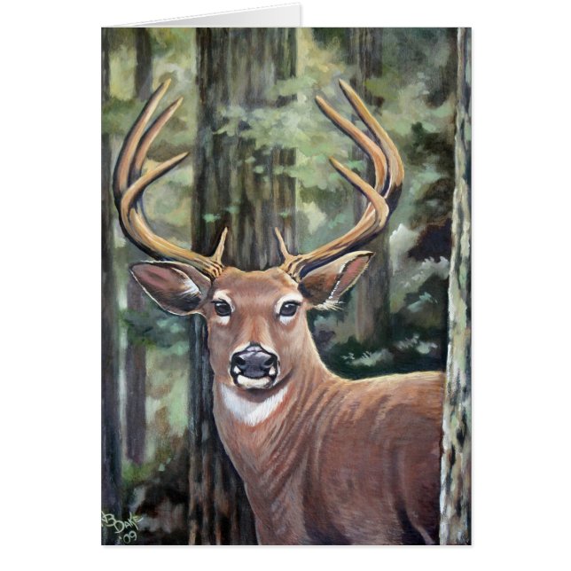 Les cerfs communs de Lowell (Devant)
