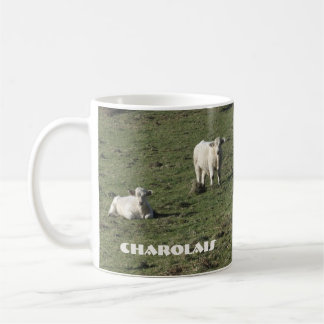 Les charolais effrayent et la tasse de veaux