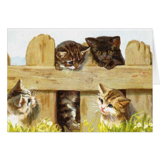 Les chatons dans une clôture (Devant horizontal)