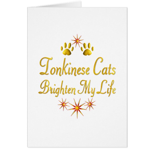 Les chats de Tonkinese éclairent ma vie (Devant)