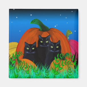 Les chats d'Halloween noirs avec un aimant Citroui