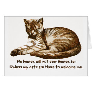 Les chats m'accueillent