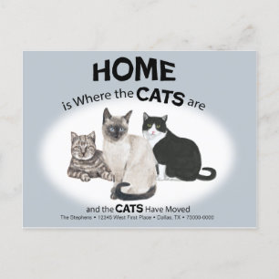 Les chats ont déplacé carte postale