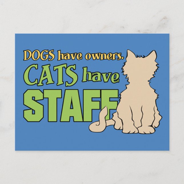 LES CHATS ONT LA carte postale du PERSONNEL (Devant)