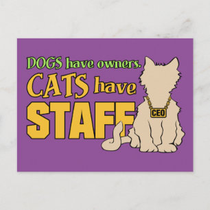 LES CHATS ONT LA carte postale du PERSONNEL