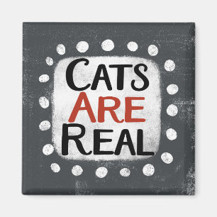 Les chats sont de vrais aimants de réfrigérateur