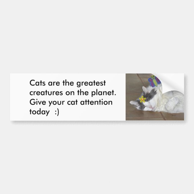 Les chats sont le plus grand Sticker de pare-chocs (Devant)