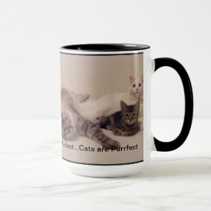 les chats sont tasse de purrfect