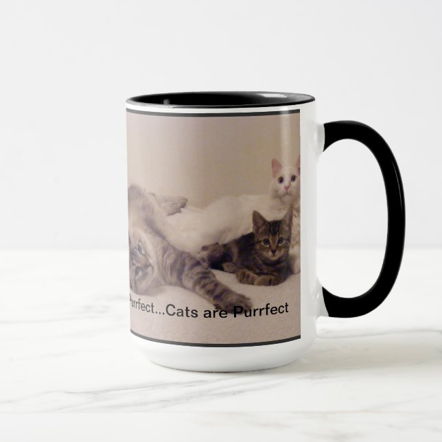 les chats sont tasse de purrfect (Droite)