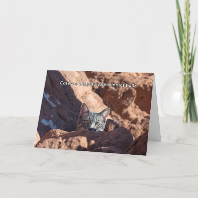 Les chats sont un mystérieux genre de carte pour n (Devant)