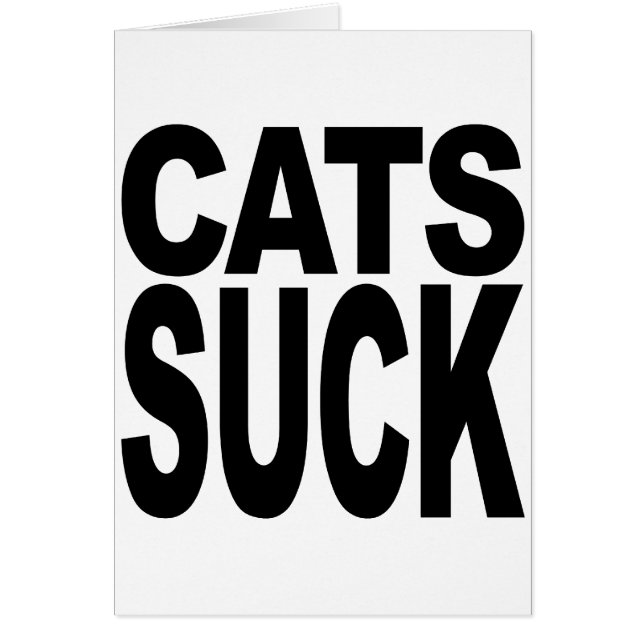 Les chats sucent (Devant)