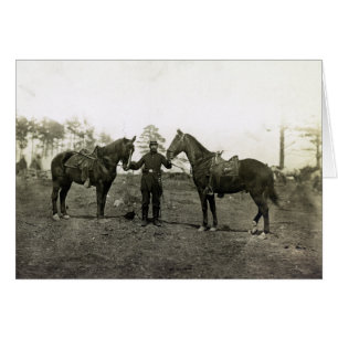 Les chevaux du Colonel Sharpe