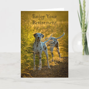 Les Chiens Dalmatiens apprécient leur carte de ret