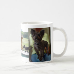 Les chiens dominent la Mug
