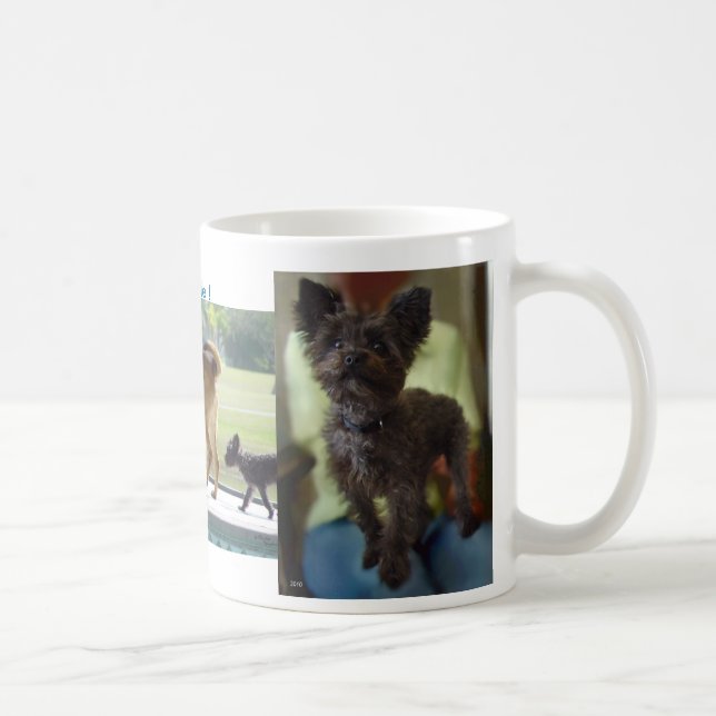 Les chiens dominent la Mug (Droite)