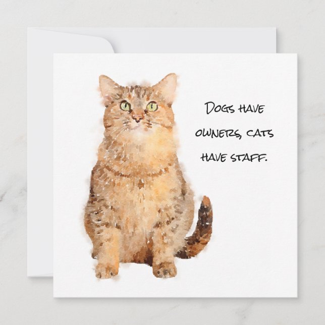 Les chiens ont des propriétaires, les chats ont de (Devant)