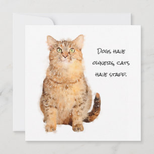 Les chiens ont des propriétaires, les chats ont de