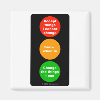 Les choses que je peux changer - Aimant