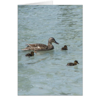 Les choses qui flottent