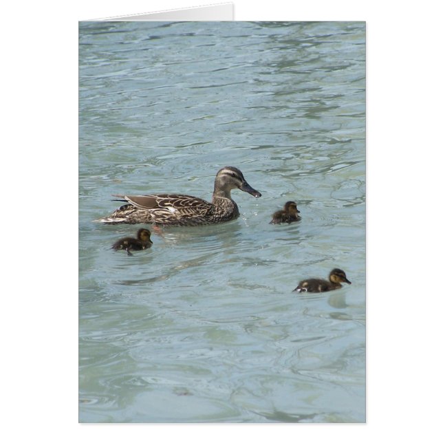 Les choses qui flottent (Devant)