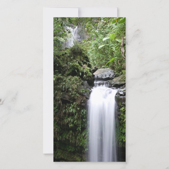 Les chutes Juan Diego (Devant)