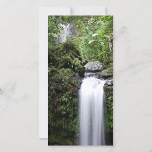 Les chutes Juan Diego