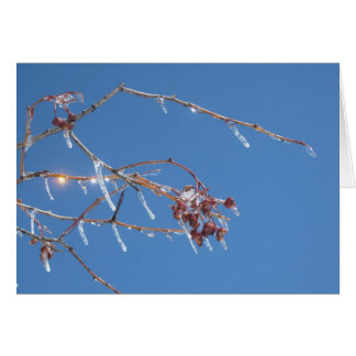 Les cigales scintillent au soleil contre le ciel b