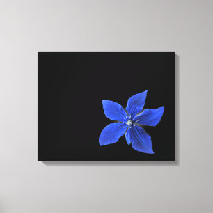 Les Clematis Bleus sur toile à enveloppe noire