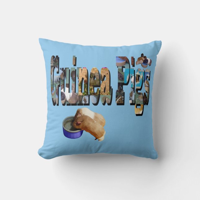 Les Cochons De Guinée Est Le Mot, Le Coussin (Recto)