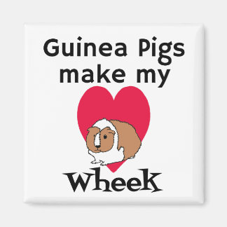 Les Cochons De Guinée Font De Mon Coeur Un Aimant 