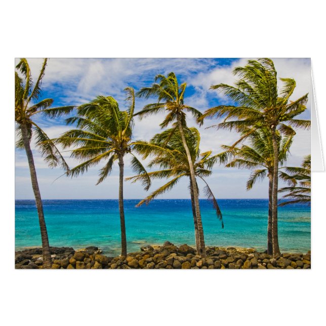 Les cocotiers (Cocos nucifera) se balancent dans (Devant horizontal)