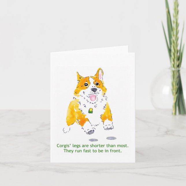 Les Corgis courent la carte rapide (Devant)
