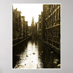 Les cygnes à Amsterdam Canal à Dawn Poster Art
