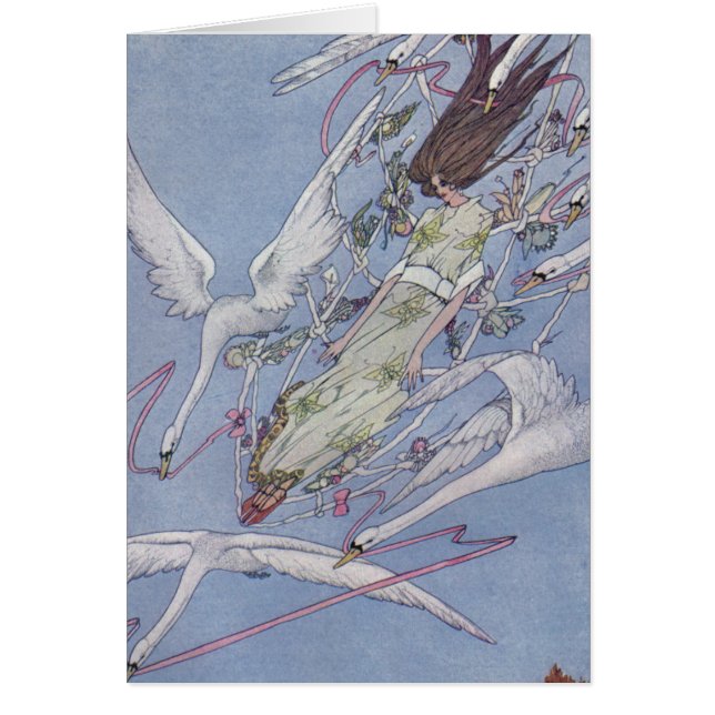 Les cygnes sauvages (Devant)