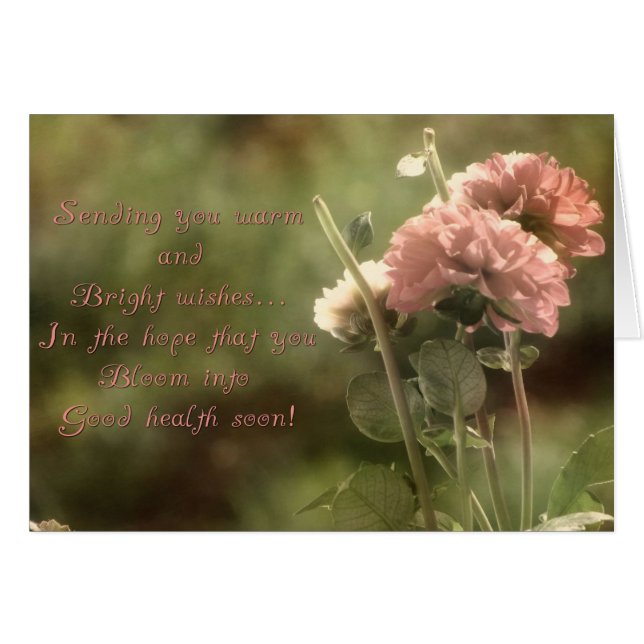 Les dahlias florissants (Devant horizontal)