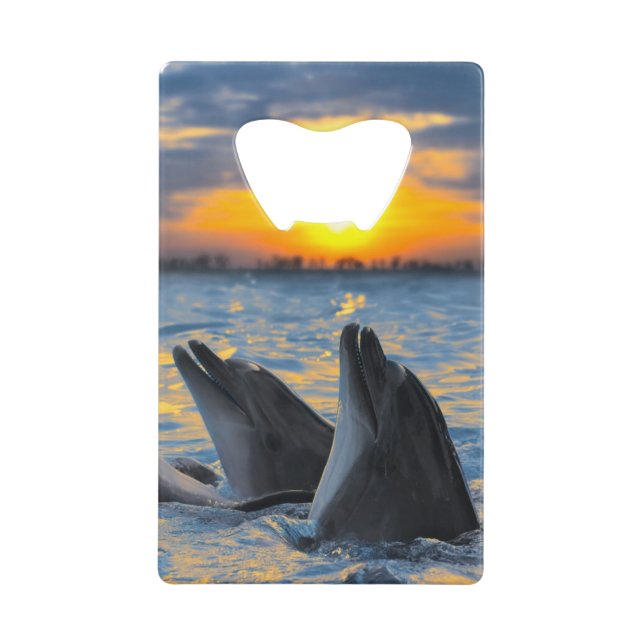 Les dauphins bouteille-flairés dans la lumière de (Devant)