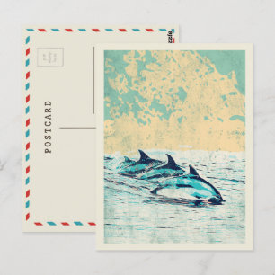 Les dauphins dans l'océan Atlantique Carte postale