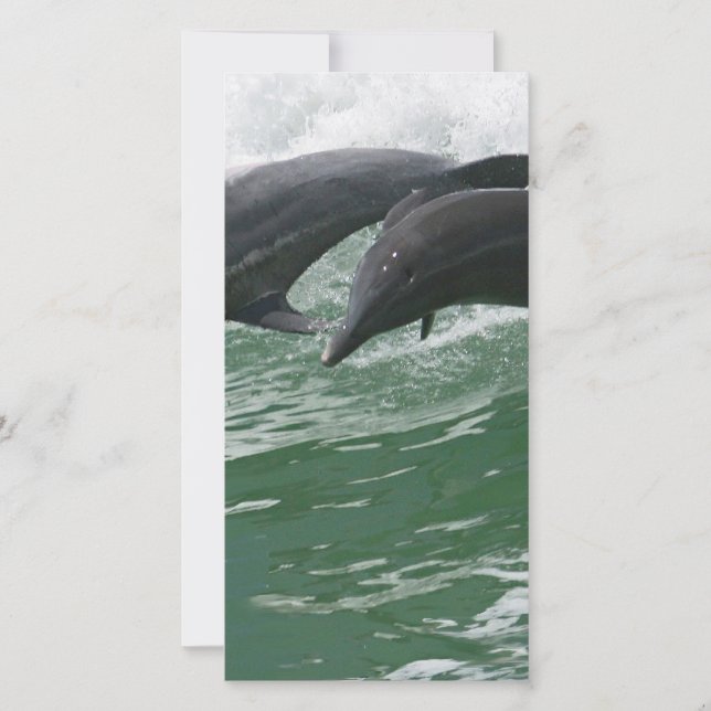 Les dauphins qui sautent (Devant)