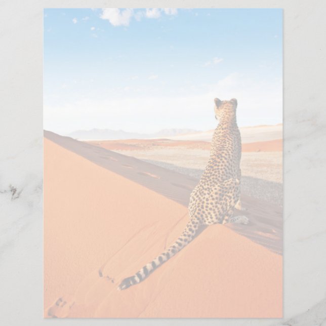 Les déserts | Désert de Cheetah Savannah (Devant)
