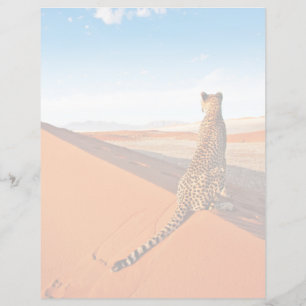 Les déserts Désert de Cheetah Savannah