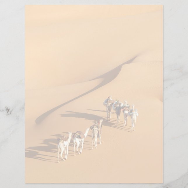 Les déserts | Marche touareg avec chameaux (Devant)